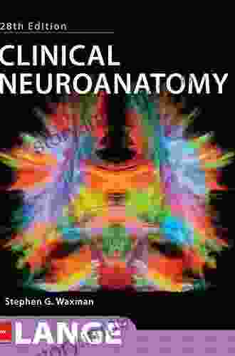 Clinical Neuroanatomy 28th Edition Stephen G Waxman